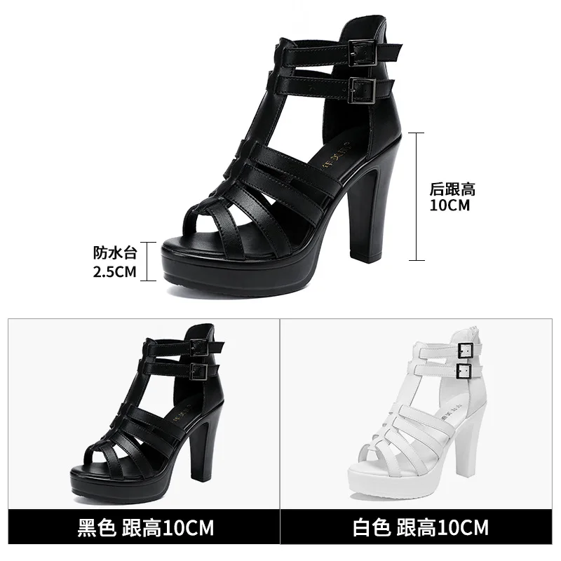 Gladiator Ladies Shoe for Wome - Women'S Shoes Peep Toe avis et prix